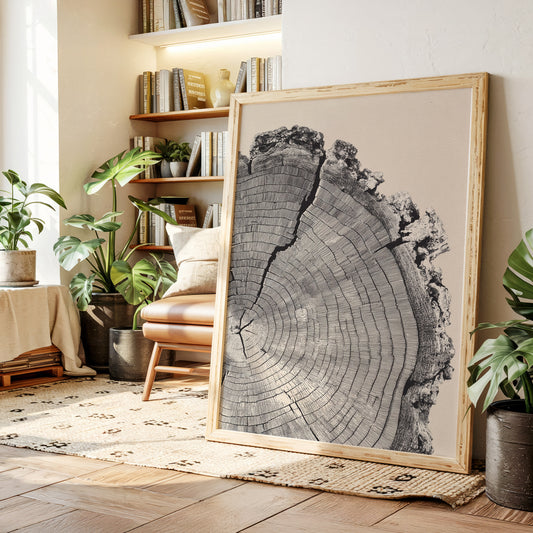 Cross-Section of Time
