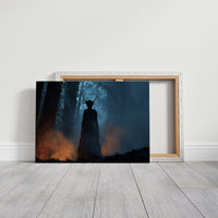 Ancient Forest Meets Modern Study