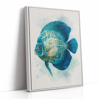 Sapphire Discus Whispers Secrets