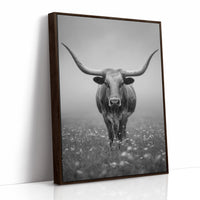 Longhorn's Steady Gaze Endures