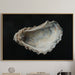 Pearls Sleep In Coastal Depths