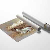 Gentle Lamb Guards Winter's Peace