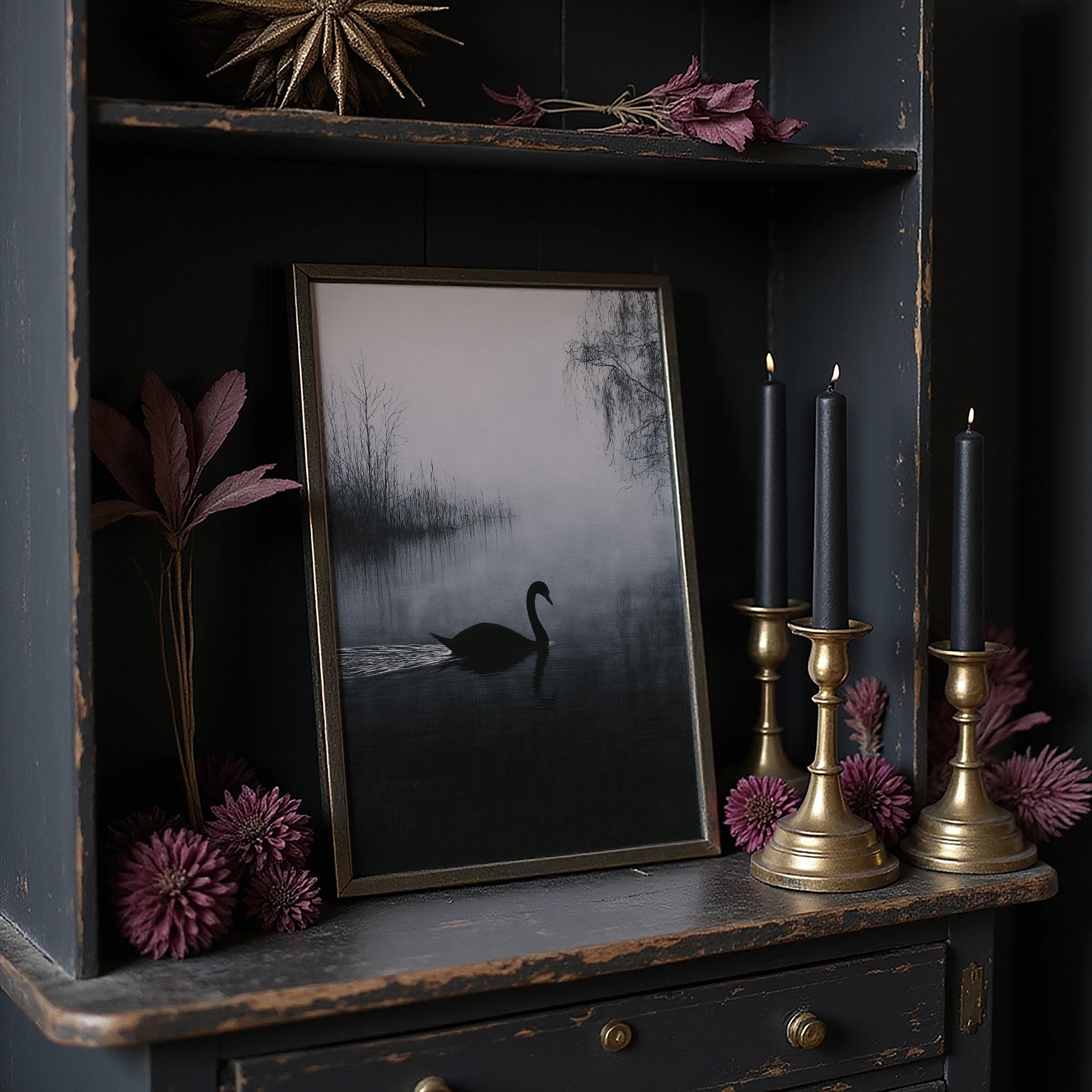 Black Swan on Silent Water