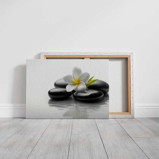 Plumeria Finds Peace On Stones