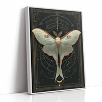 Luna Moth Under Golden Stars