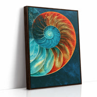 The Nautilus Divide