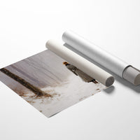 Winter Path Leads To Mystery