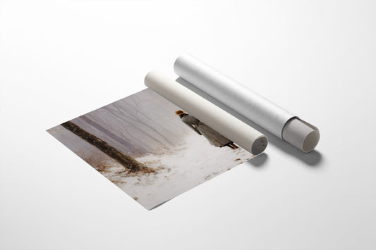 Winter Path Leads To Mystery