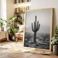 Cactus Standing Against The Mist