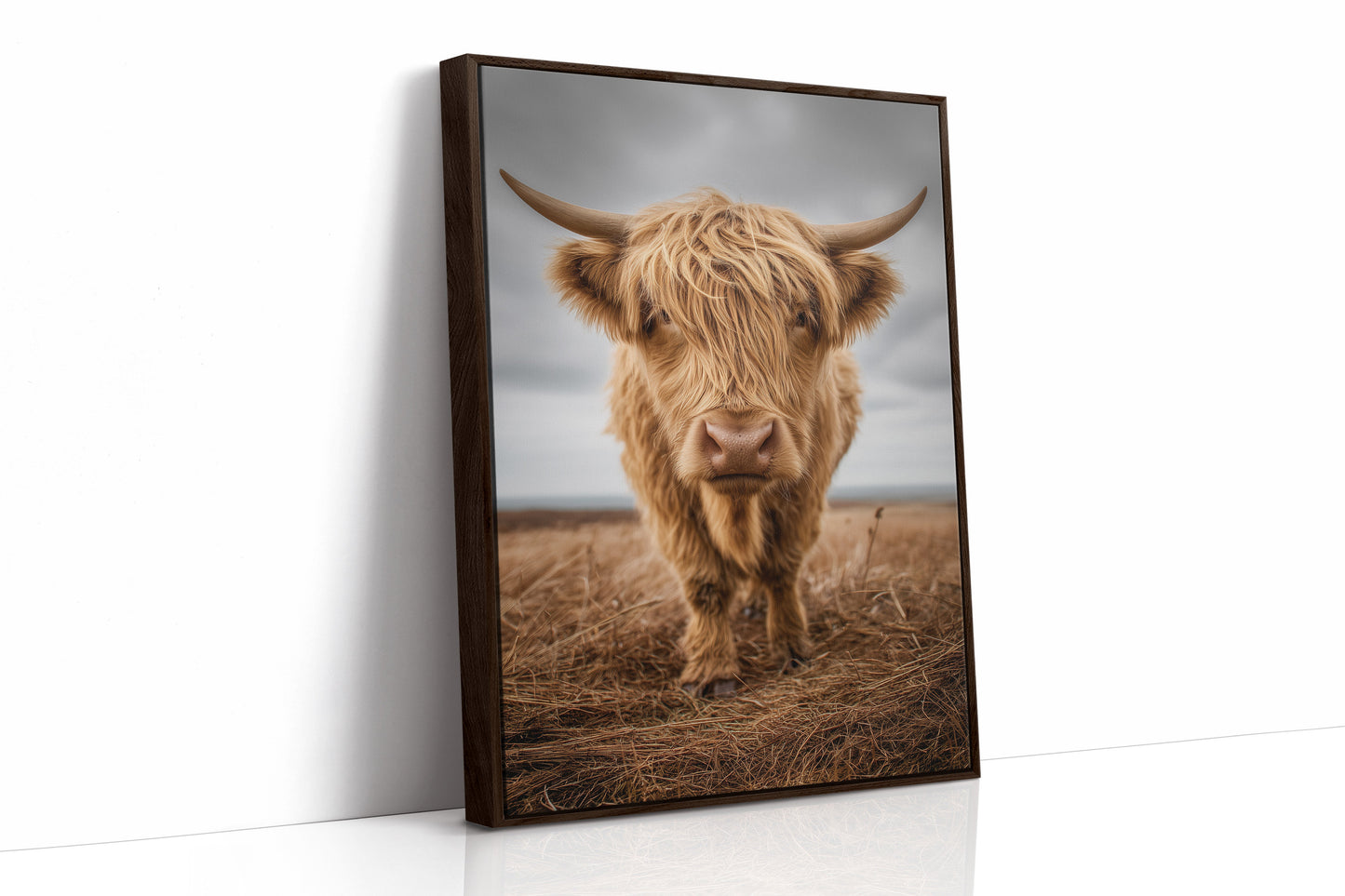 Highland Soul In Rustic Portrait