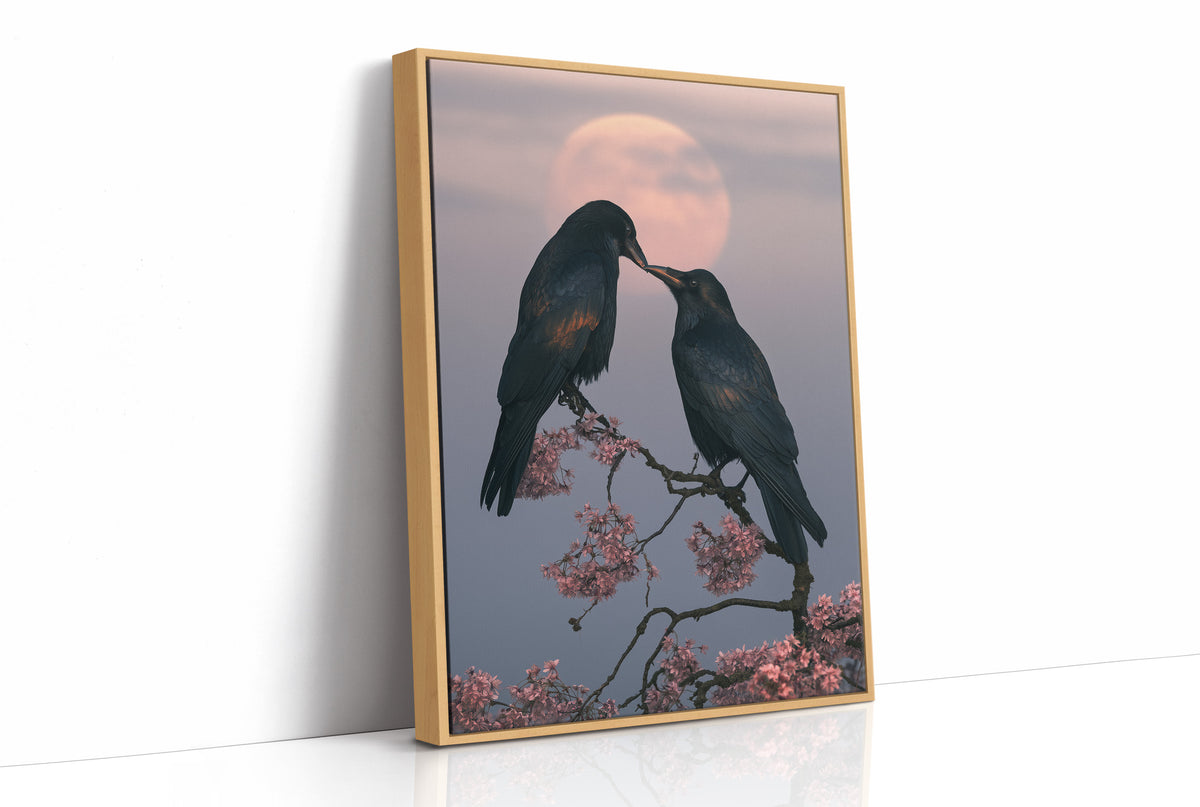 Ravens Share a Secret