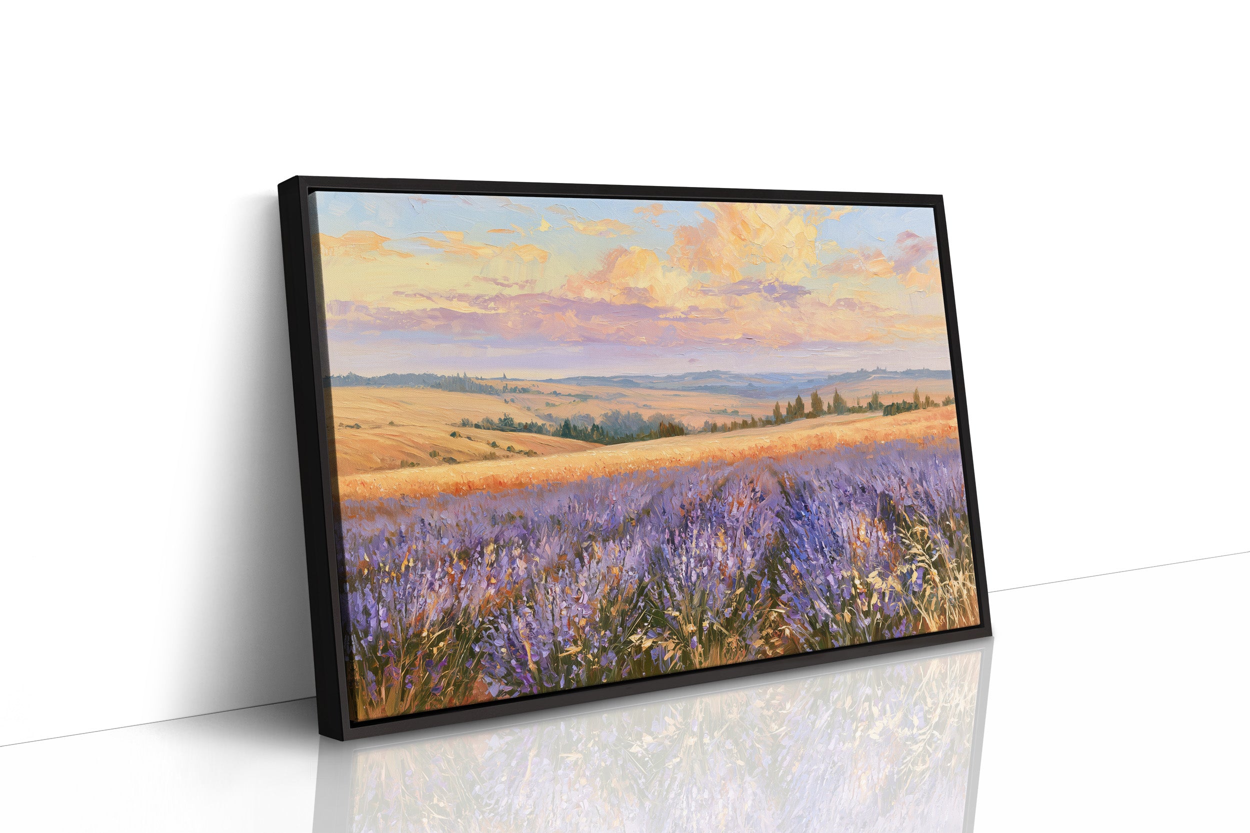 Lavender Fields, Golden Hour