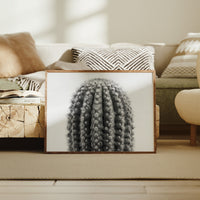 Spines Dance In Silver Light