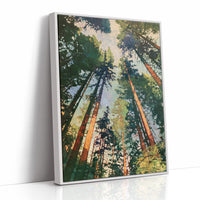 Sunlit Pines Rising