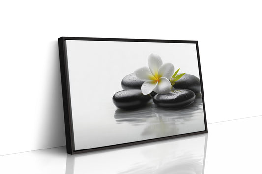 Plumeria Finds Peace On Stones