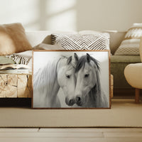 Gentle Souls Share Morning Light