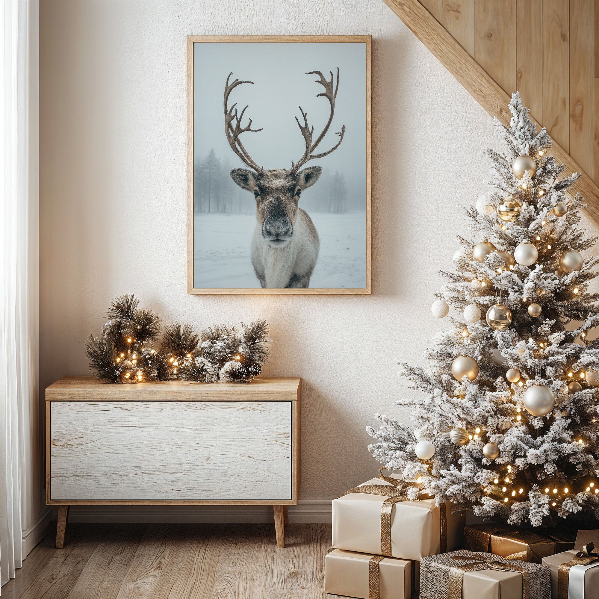 December's Gentle Northern Prince