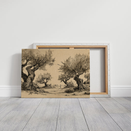 Ancient Olives Guard Distant Paths