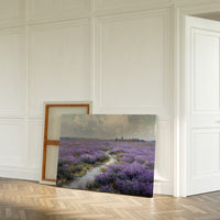 Lavender Paths Lead To Windmills