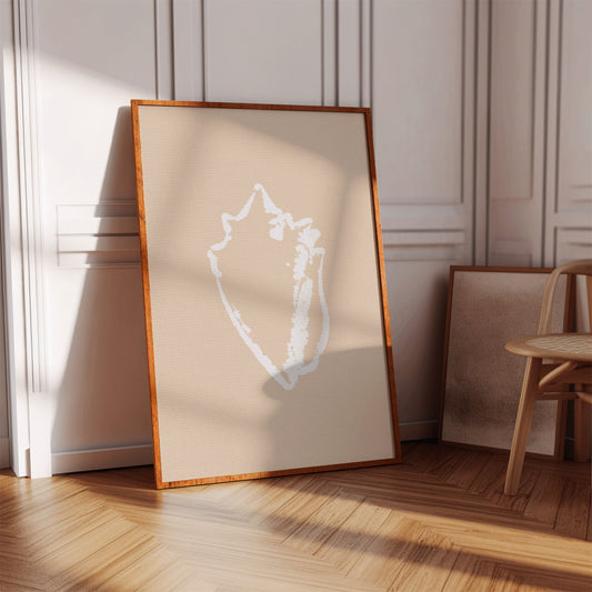 Seashell Sketches In Blush Light
