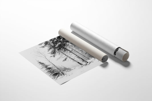 Silent Pines Paint December's Story