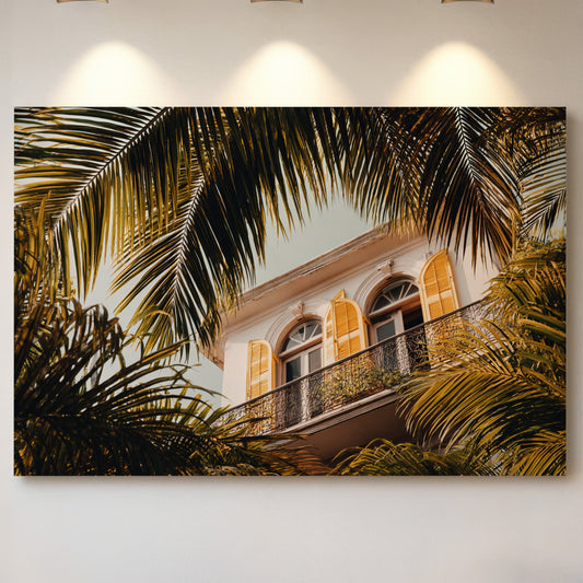 Golden Shutters Behind Palm Veils
