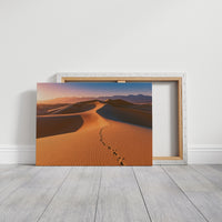 Footprints Over Golden Dunes