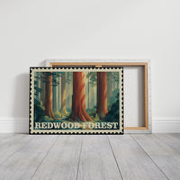 Redwood Forest: Secrets of Time