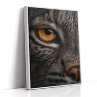Golden Gaze Wild Cat Close Up