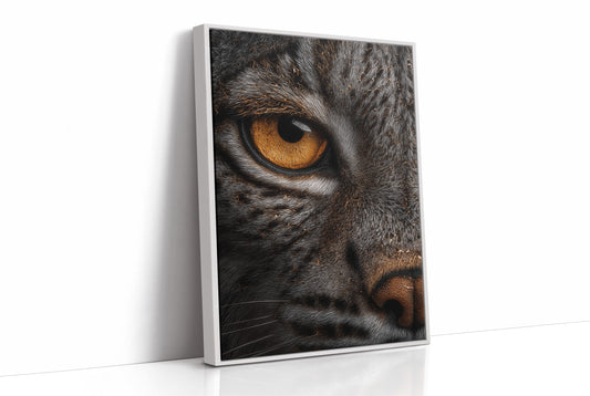 Golden Gaze Wild Cat Close Up