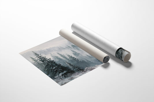 When the Fog Lifted over the Pines