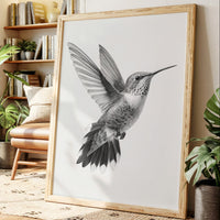 Graceful Hummingbird in Flight