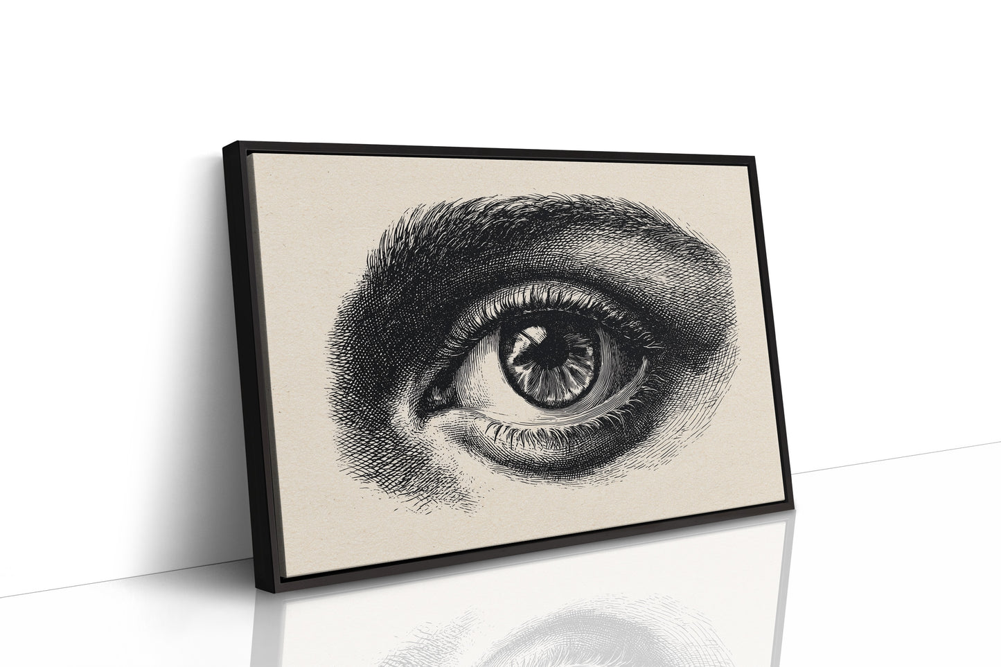 Windows To Ancient Knowledge Shelved