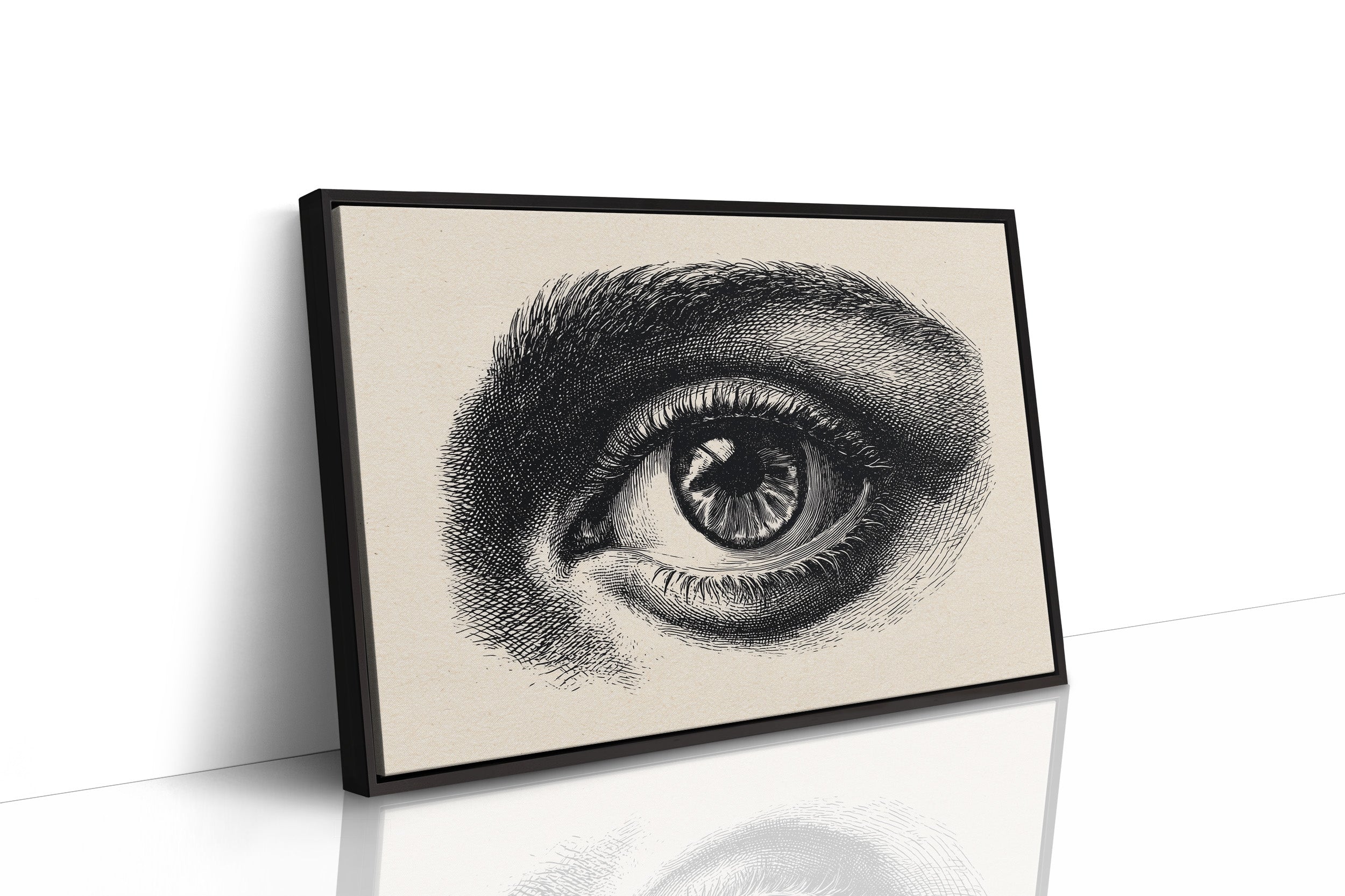 Windows To Ancient Knowledge Shelved