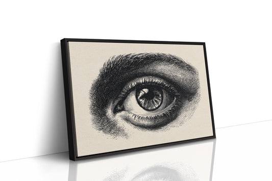 Windows To Ancient Knowledge Shelved