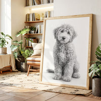 Curly Coat and Kind Eyes