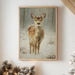 December Fawn Meets Morning Snow