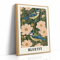 Blue Tits Among Cosmos Blooms