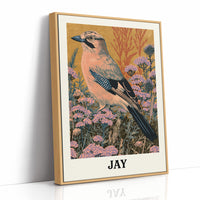 Jay Among the Wildflowers