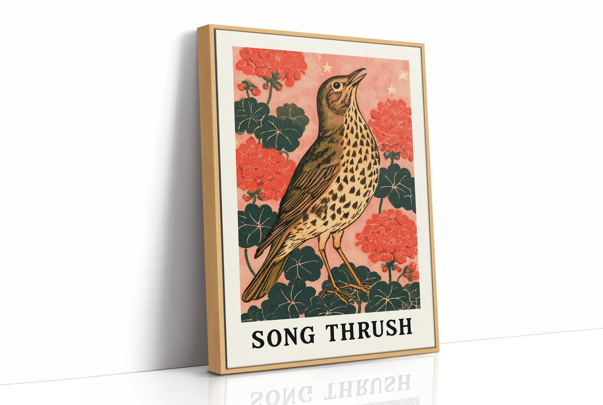 Song Thrush Among Geraniums