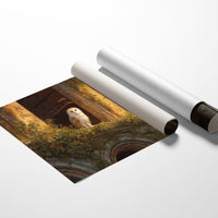 Keeper Of Ancient Library Secrets