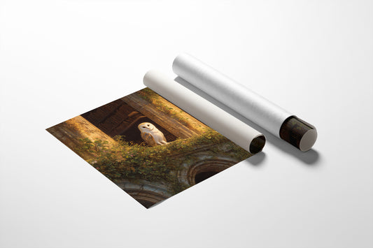 Keeper Of Ancient Library Secrets