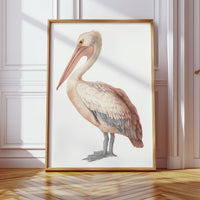 Beneath A Soft Feathered Gaze