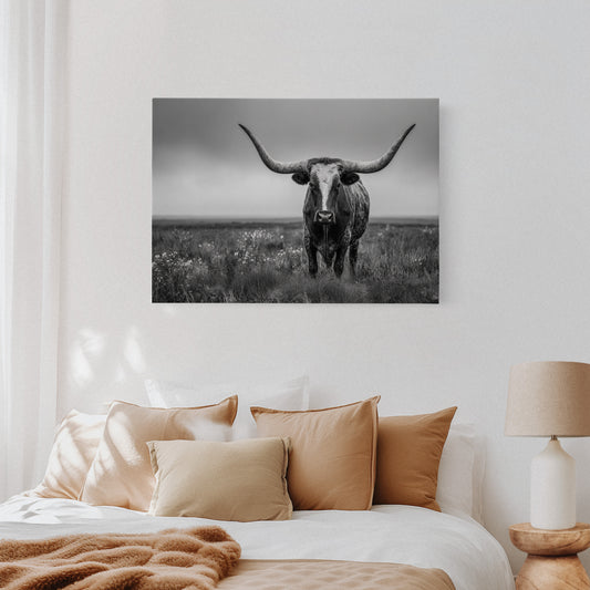 King of the Prairie