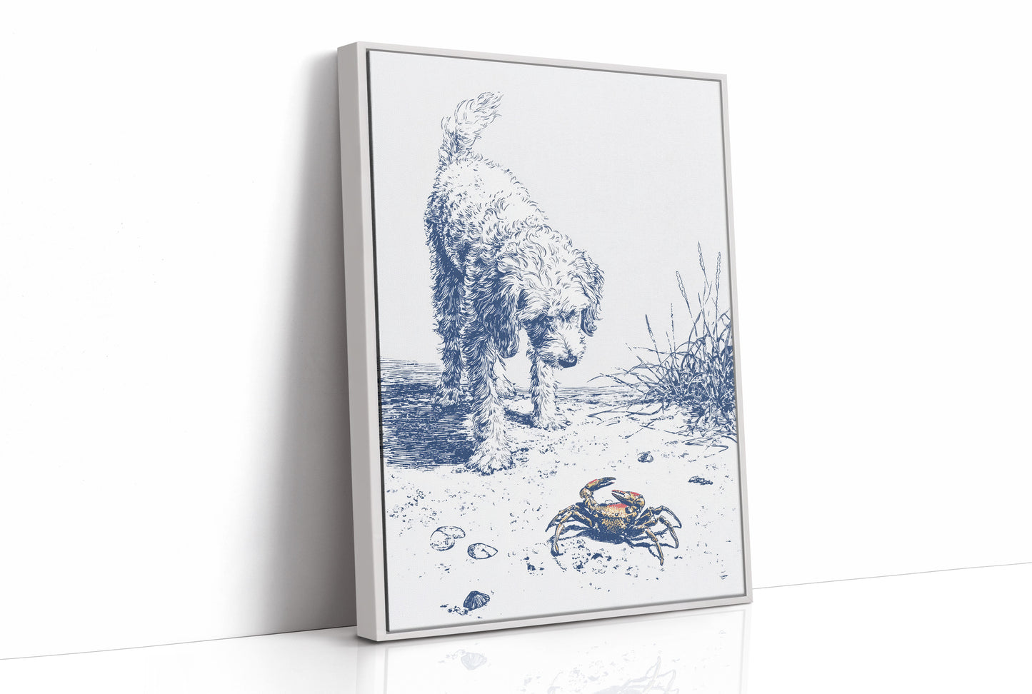 Coastal Curiosity Meets Shoreline Explorer