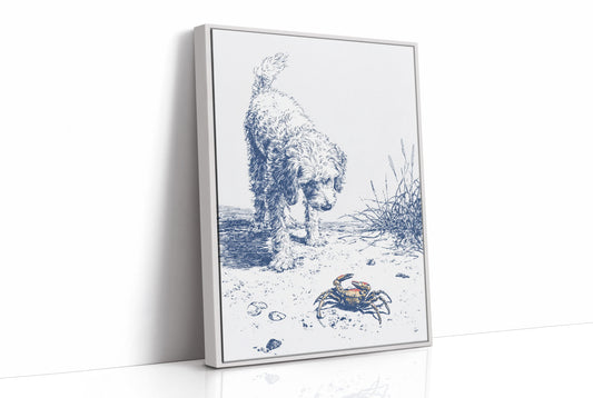 Coastal Curiosity Meets Shoreline Explorer