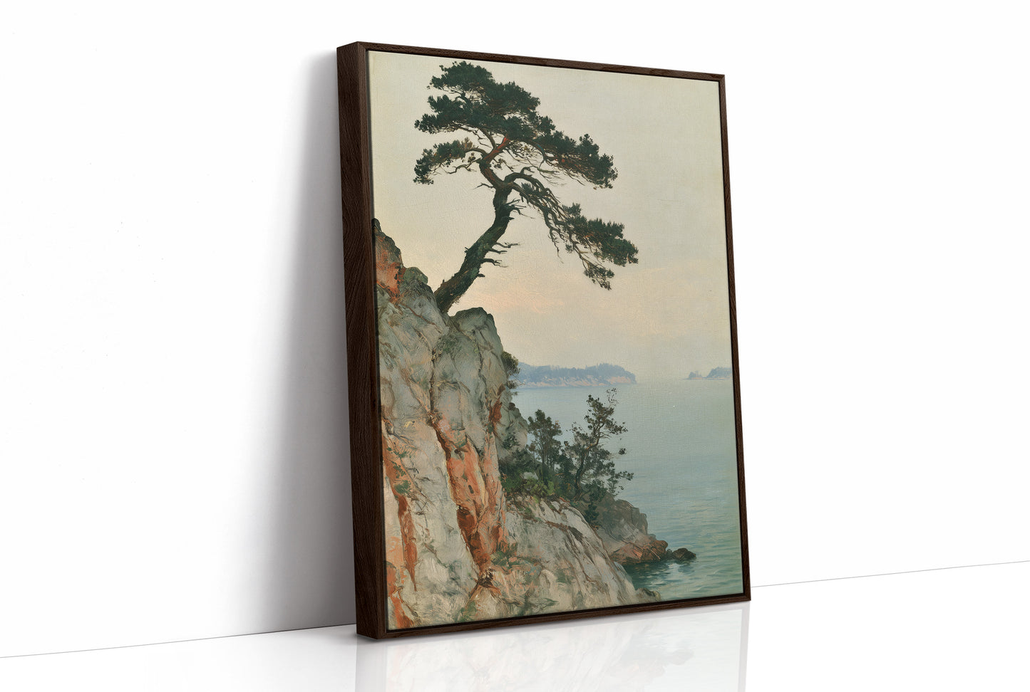 The Pine That Leans Seaward