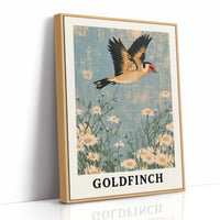 Goldfinch Over Daisy Fields