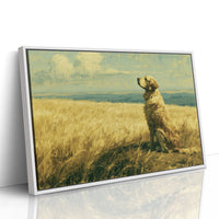 Golden Retriever, Golden Fields