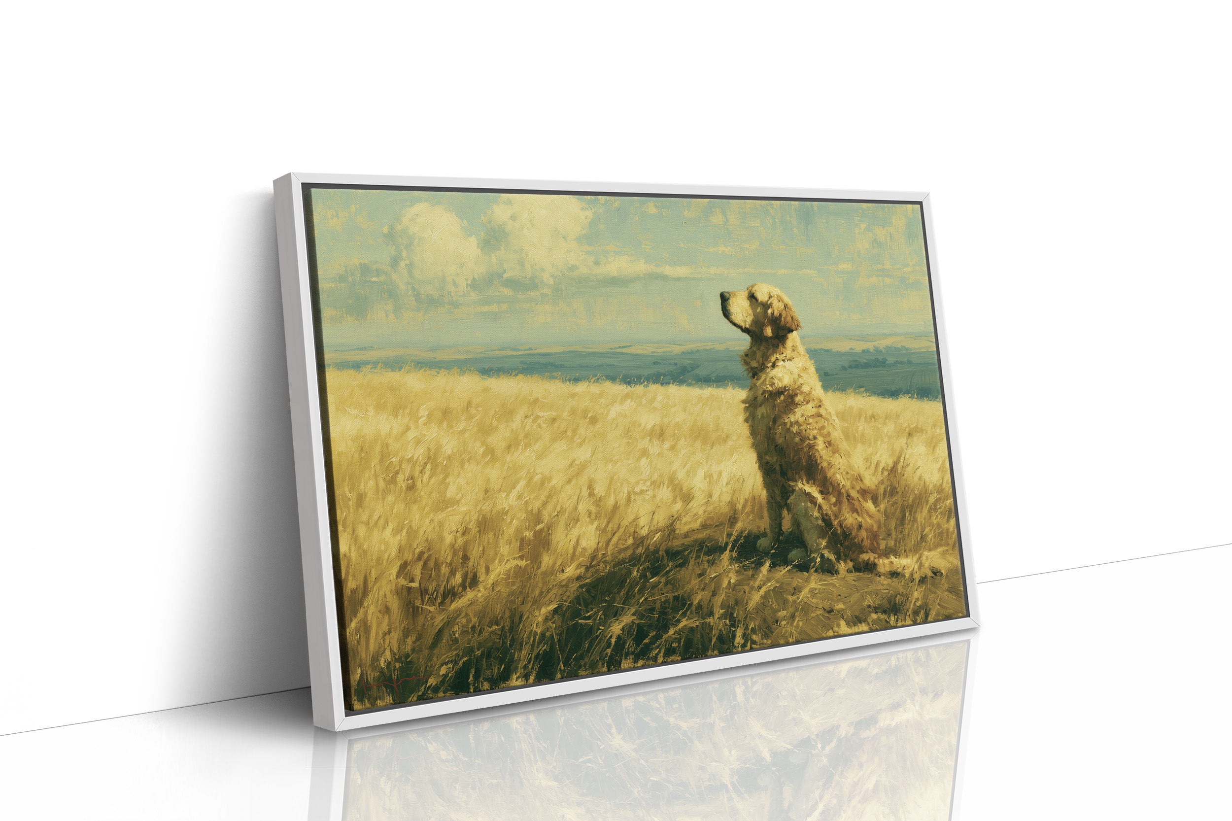 Golden Retriever, Golden Fields